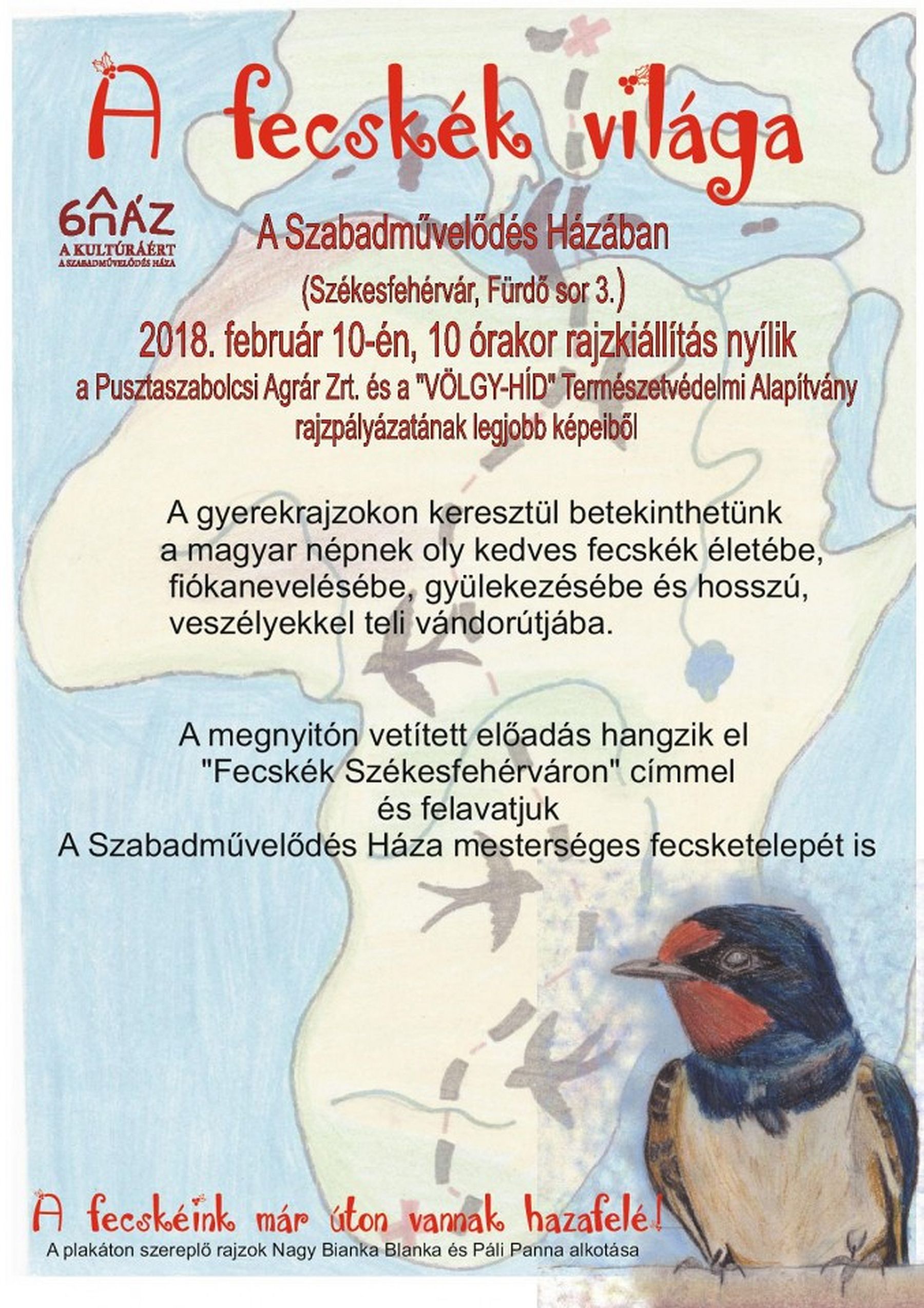 A fecskék világa - mesterséges fecsketelepet is telepítenek A Szabadművelődés Házában